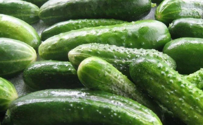 Огірки стрімко дорожчають