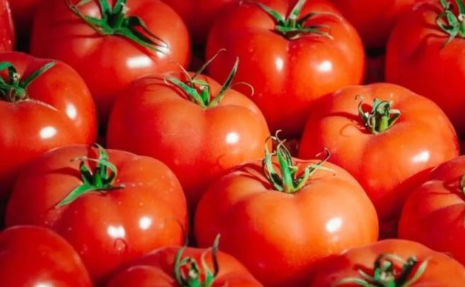В Україні дорожчають тепличні помідори