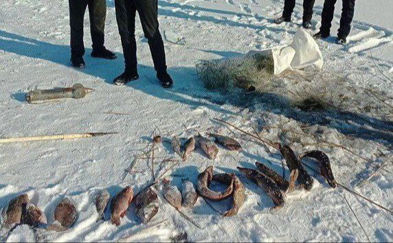 У заповіднику «Кременчуцькі плавні» спіймали браконьєра