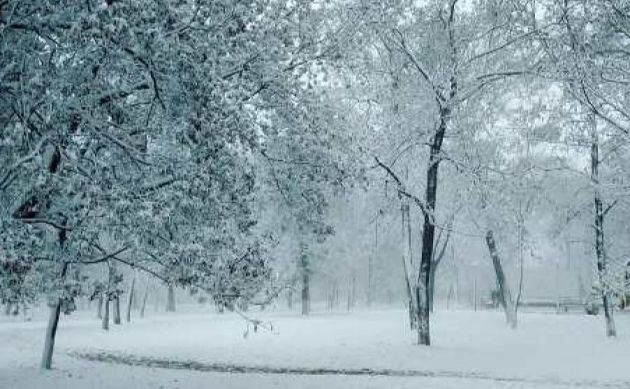 У вівторок — без опадів, але з морозом