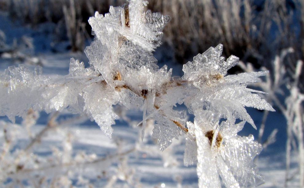 Нинішній січень видався лютим на морози