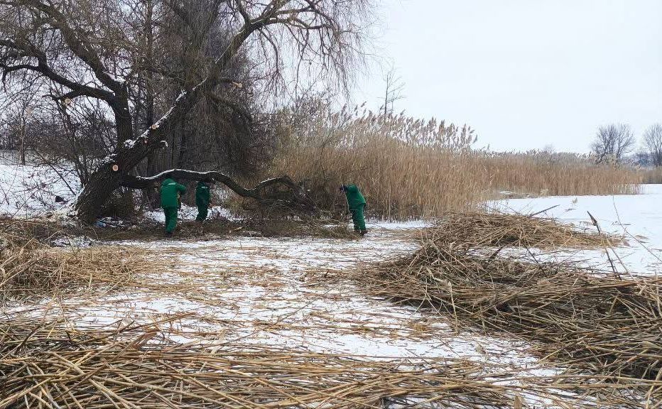 КП «Ефект» проводить зимові роботи з благоустрою прибережних зон