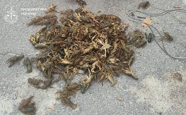 Двох кременчужан судитимуть за незаконний вилов риби та раків