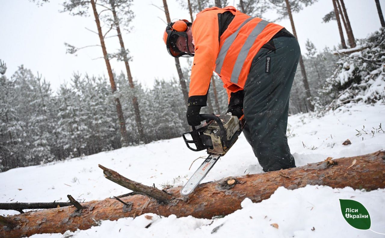 В Україні зріс попит на дрова