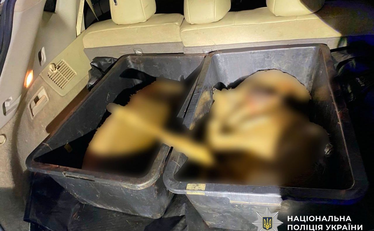 У Полтаві спіймали браконьєра — у машині знайшли туші козуль і зброю