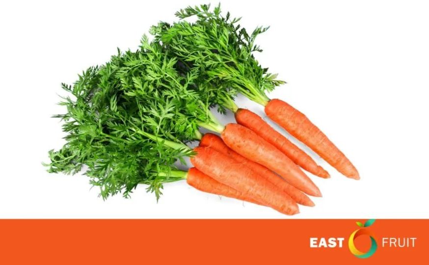 В Україні дорожчає морква