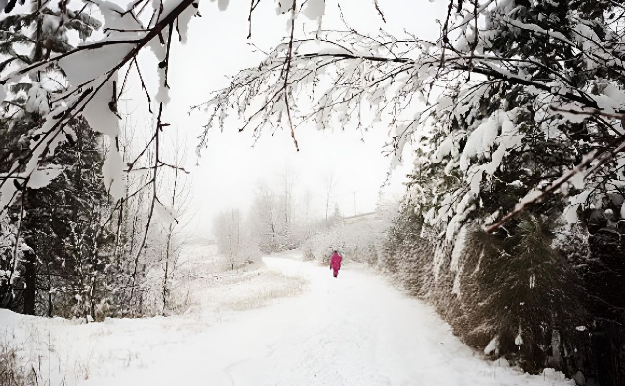 У середу — без опадів