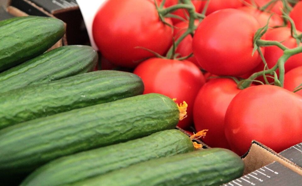 Ціни на огірки та помідори в Україні — на рекордному рівні за останні п’ять сезонів