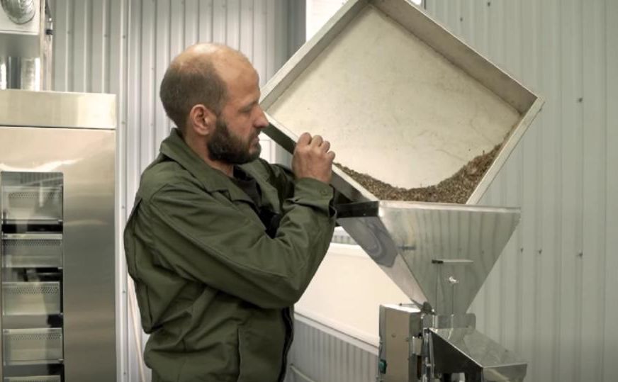 На Полтавщині запрацював комплекс з переробки шишок та насіння хвойних порід