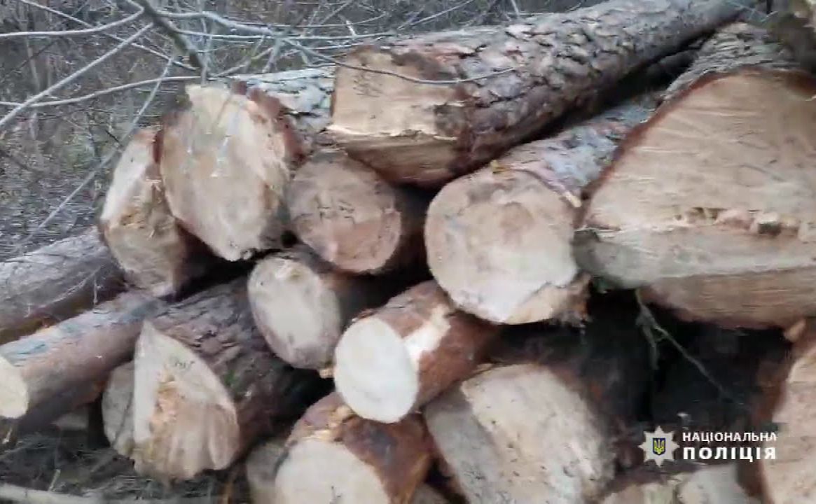 У Решетилівській громаді виявили незаконну порубку дерев