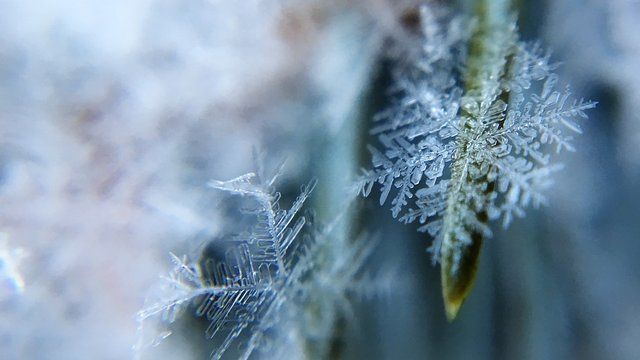 Які свята відзначаємо 22 лютого?