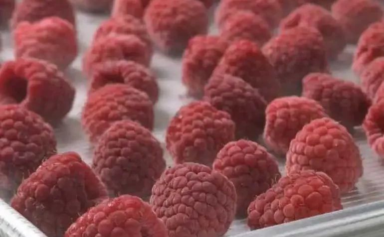 За минулий рік Україна зменшила виробництво експорт малини