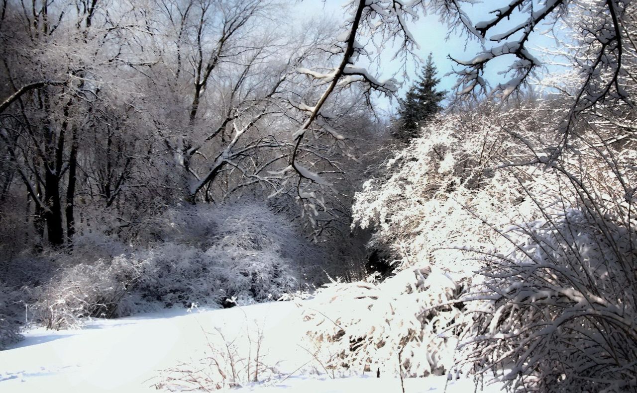 Лютий 2026-го став на Полтавщині найхолоднішим за останні 14 років