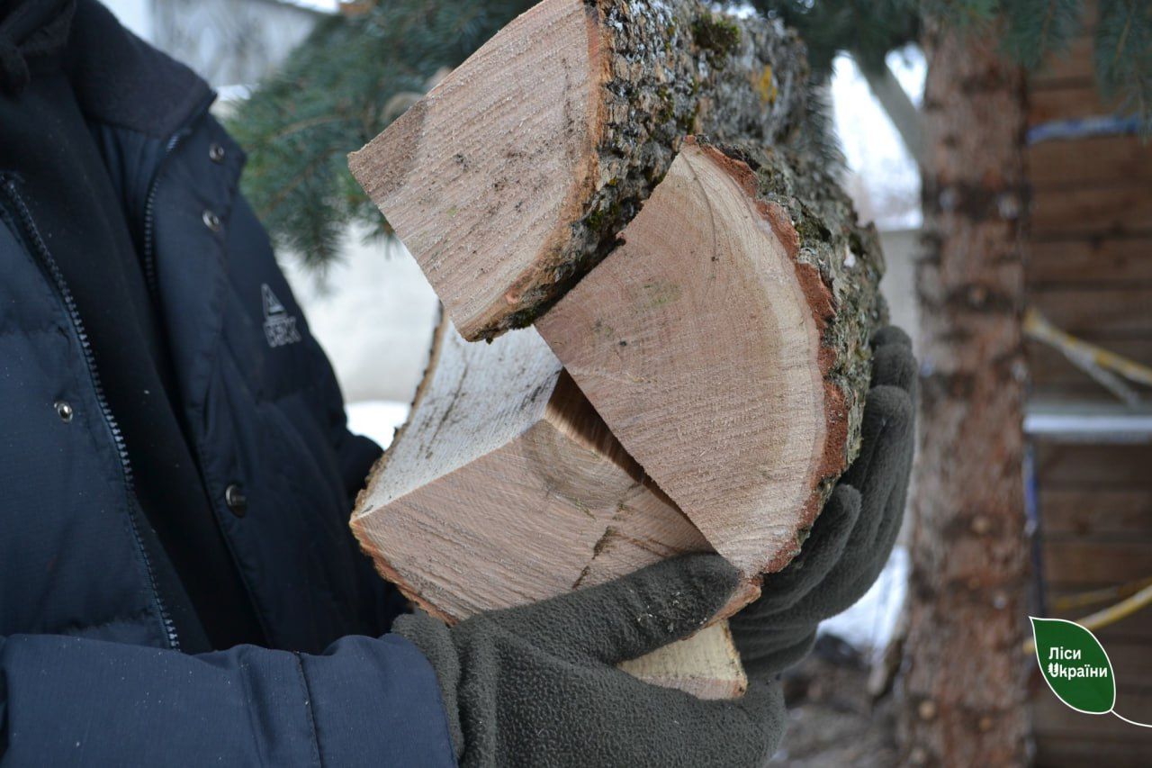 Протягом опалювального сезону у Слобожанській філії реалізували 110 тис. м³ дров