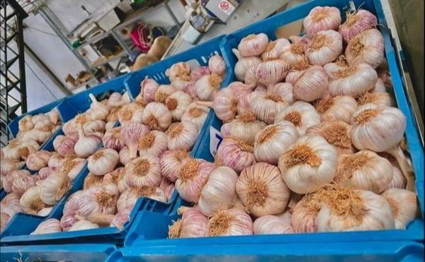 Лише 20% українського часнику представлено на ринку