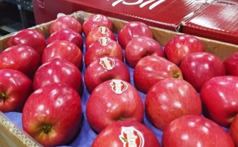 Український експорт яблук скоротився на третину