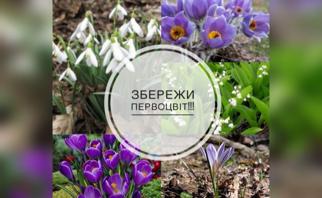 Операція «Первоцвіт-2026» стартувала