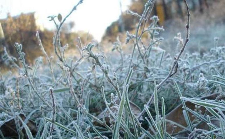 На Полтавщині прогнозують заморозки