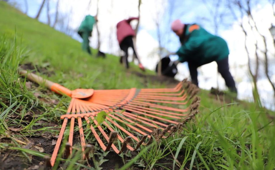 У Лобачах ініціюють толоку