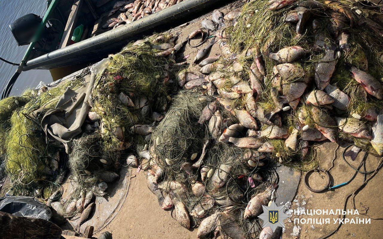 На Кам’янському водосховищі браконьєр наловив сітками півтонни риби