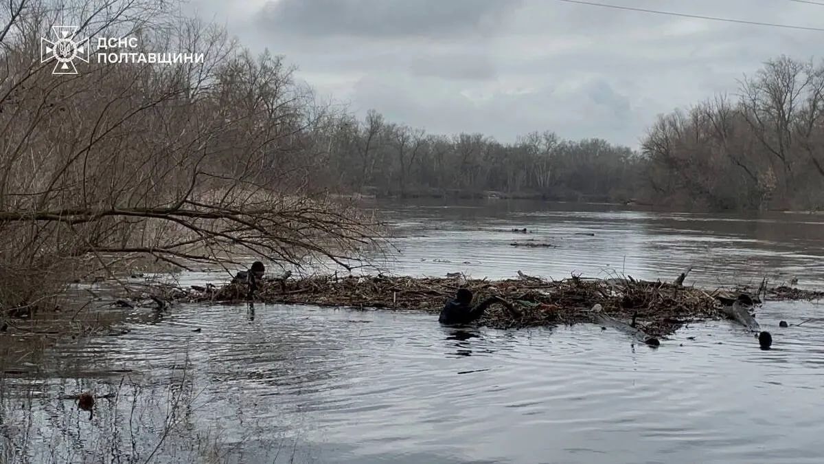 Рятувальники розбирають затор із деревини на Пслі