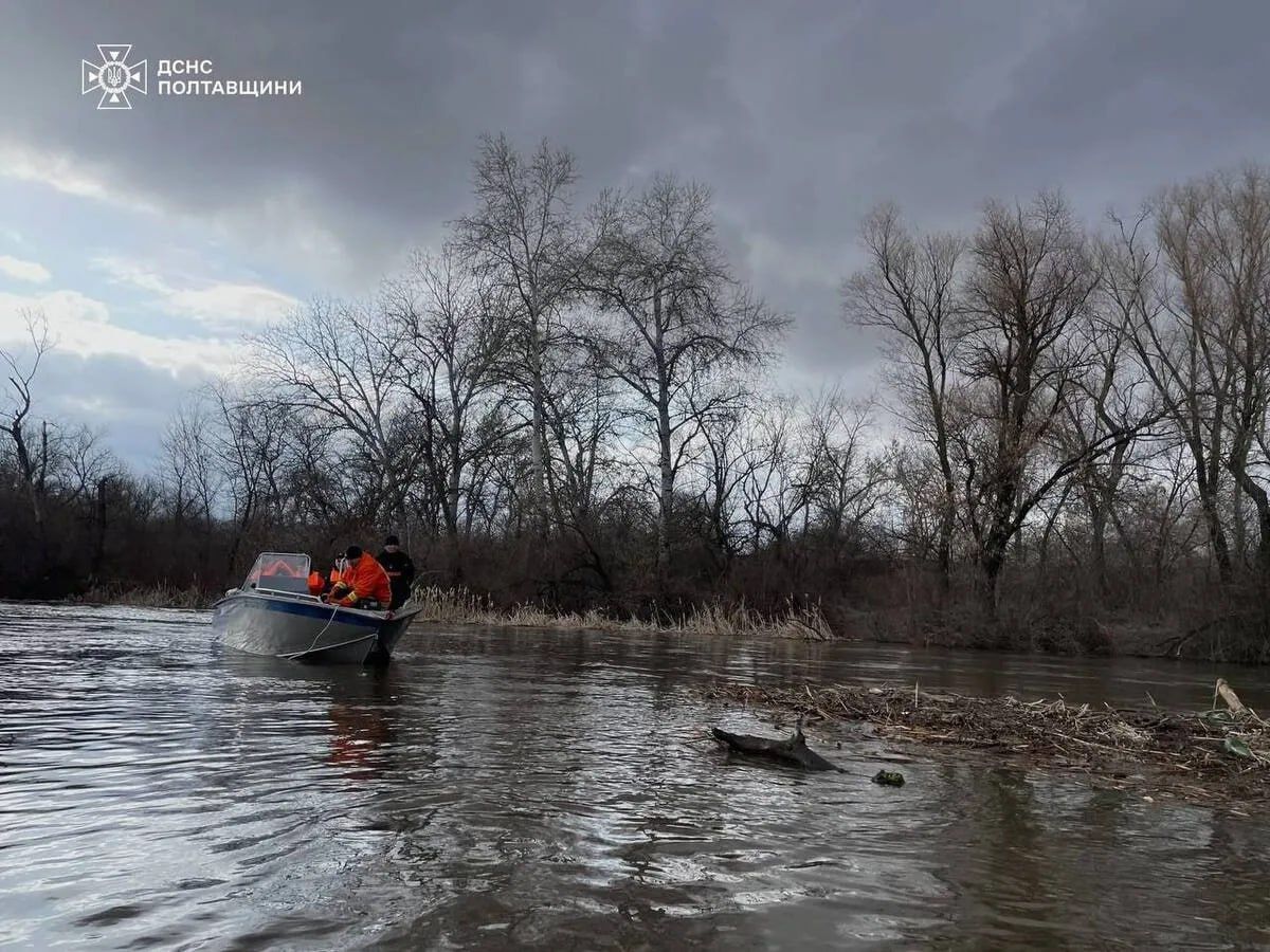 Рятувальники розбирають затор із деревини на Пслі