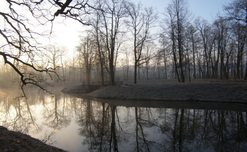 У четвер очікується туман