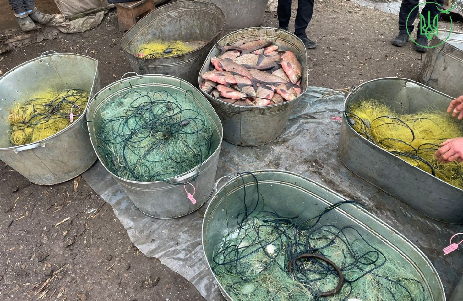 Біля Орлика браконьєри «рибалили» на промисловому судні