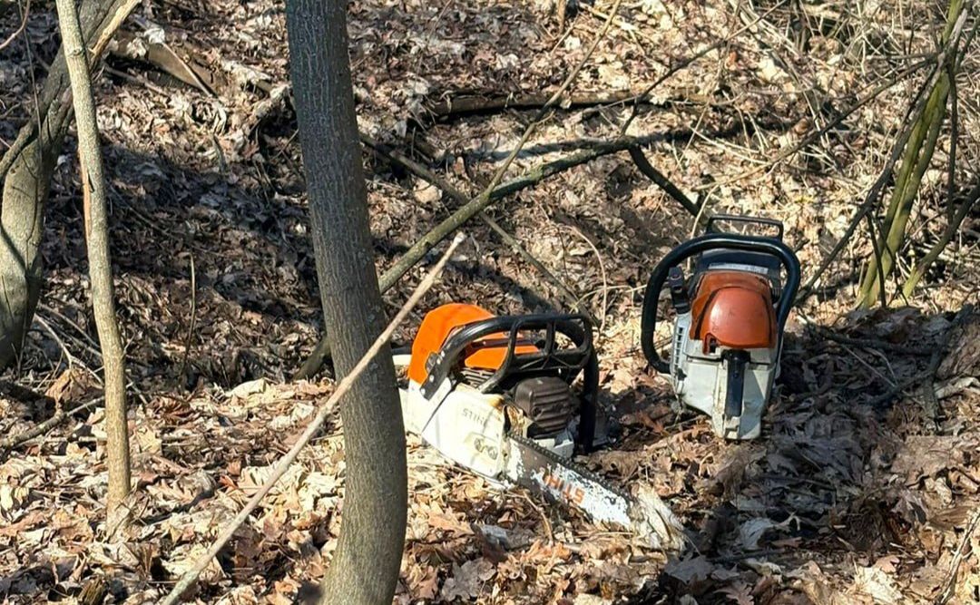 На Полтавщині затримали п’ятьох «чорних лісорубів»