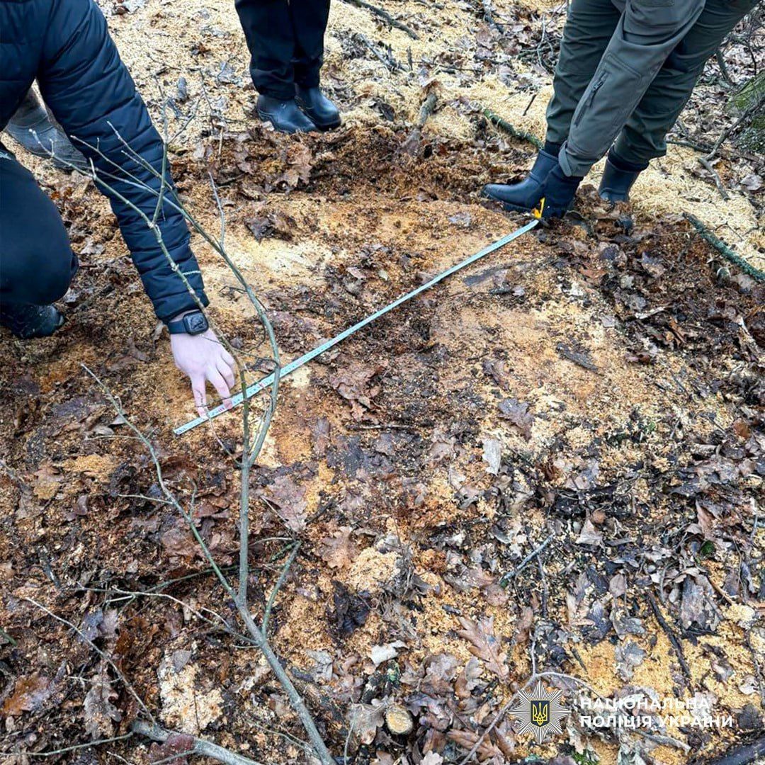 На Полтавщині затримали п’ятьох «чорних лісорубів»
