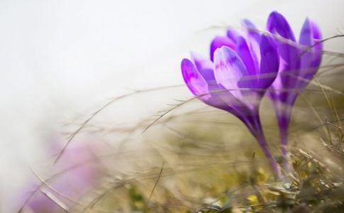 Які свята відзначаємо сьогодні?