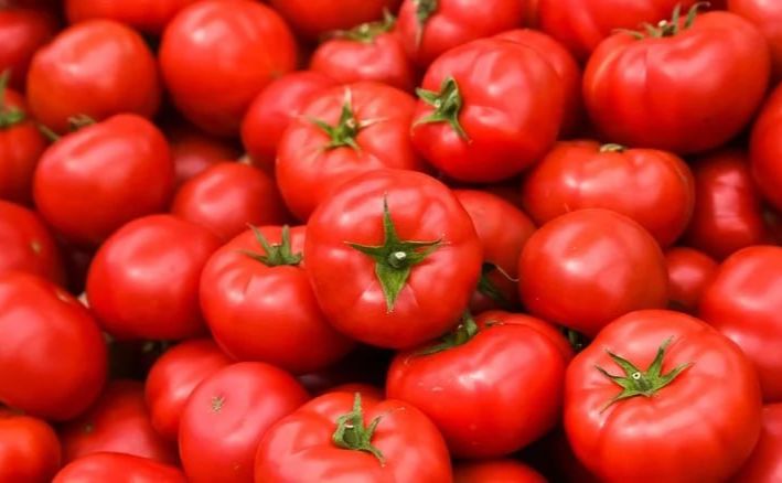 Тепличні помідори дорожчають