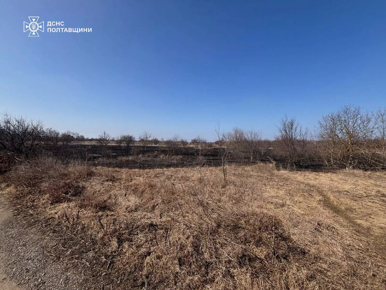 За добу на Полтавщині вигоріло понад 3 гектари сухої трави