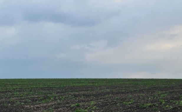 У четвер максимальна температура повітря досягатиме +18