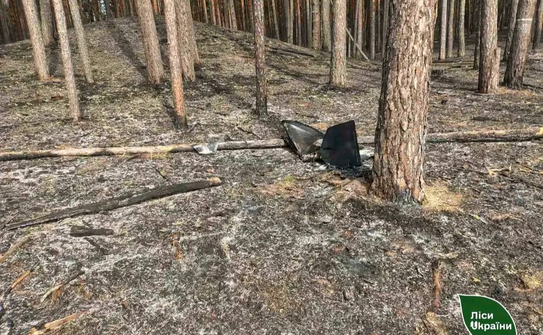Через уламки дрона на Полтавщині сталася лісова пожежа