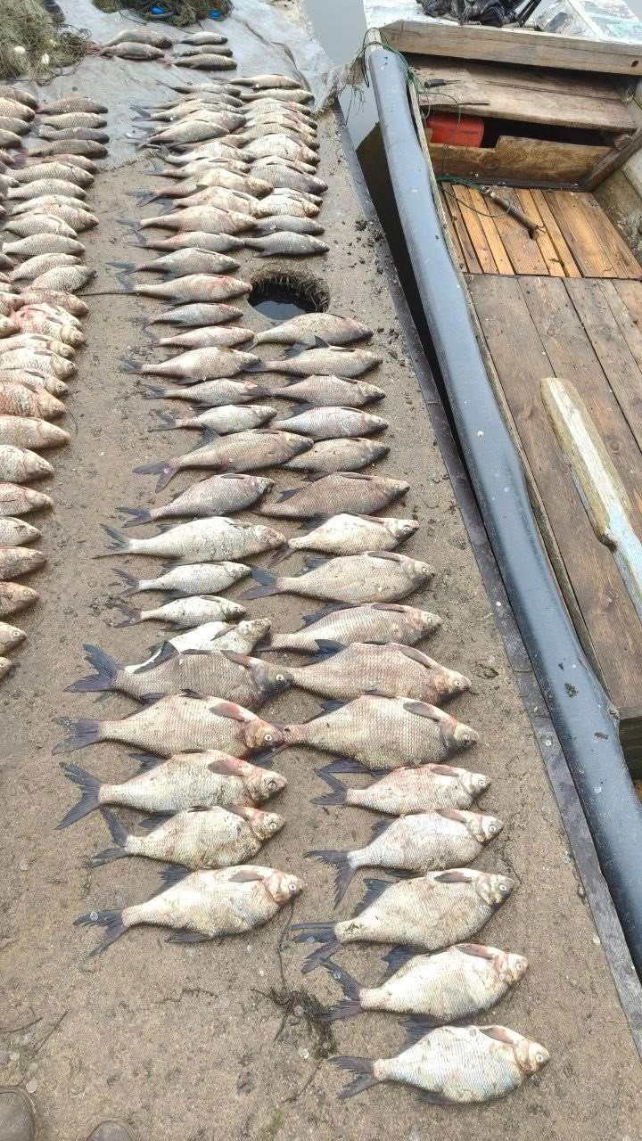 Біля Світлогірського рибалка незаконно наловив майже півтонни риби