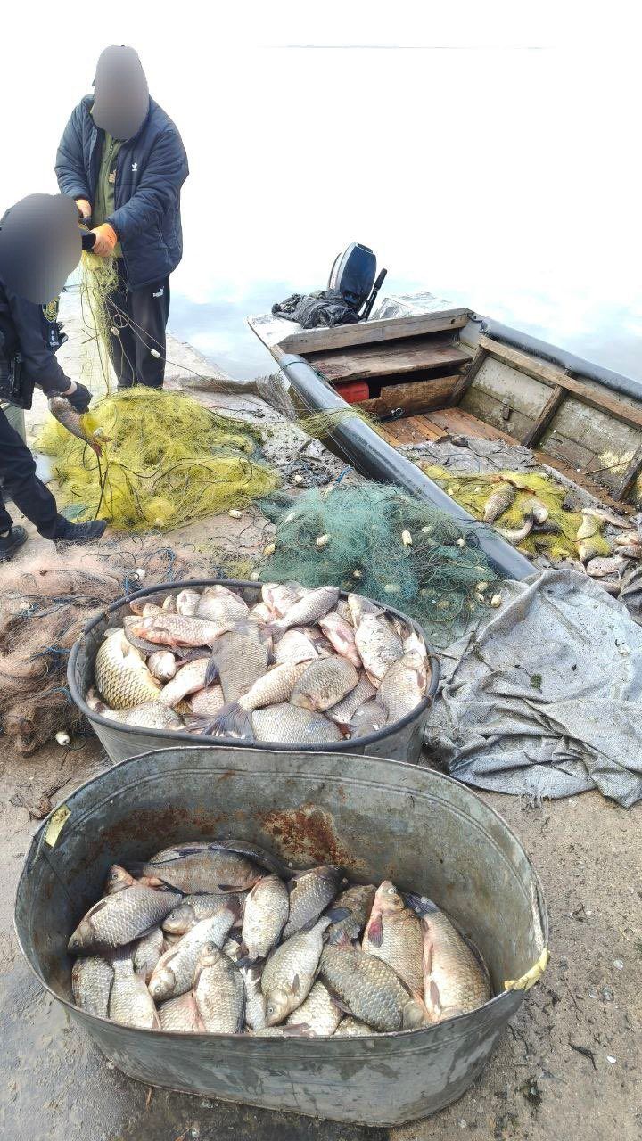 Біля Світлогірського рибалка незаконно наловив майже півтонни риби