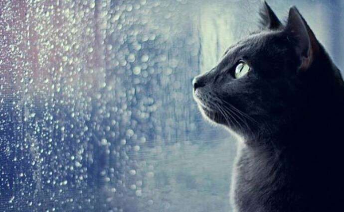 У вівторок дощитиме