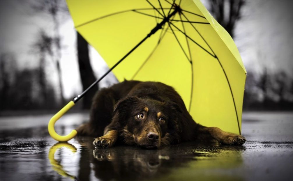 Гроза: в гідрометцентрі попереджають про погіршення погодних умов