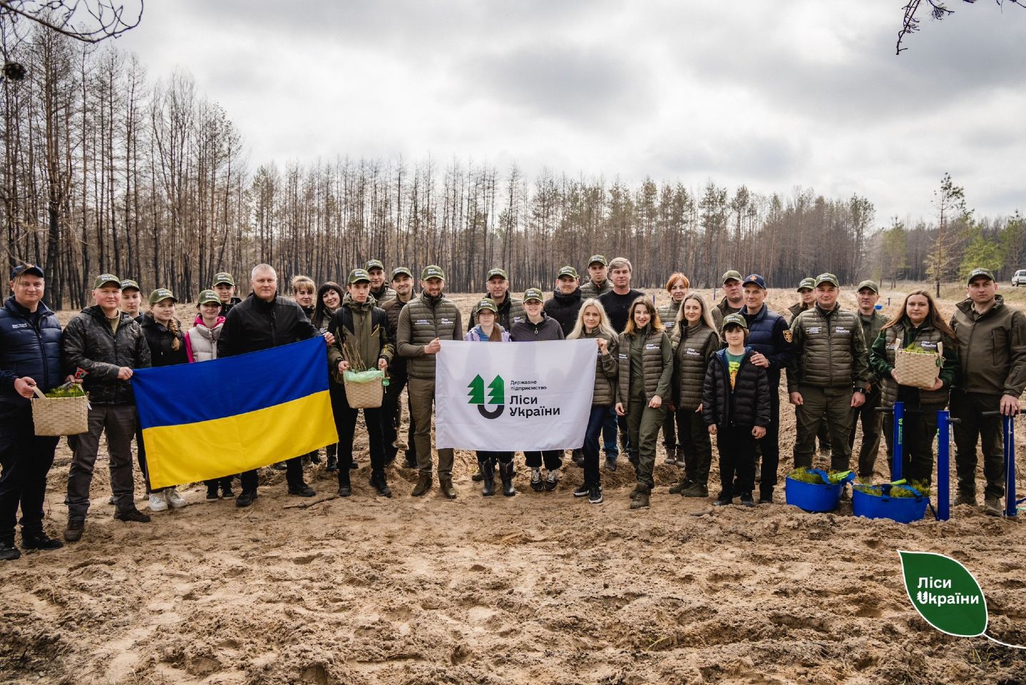 У Новосанжарській громаді відновлюють ліс
