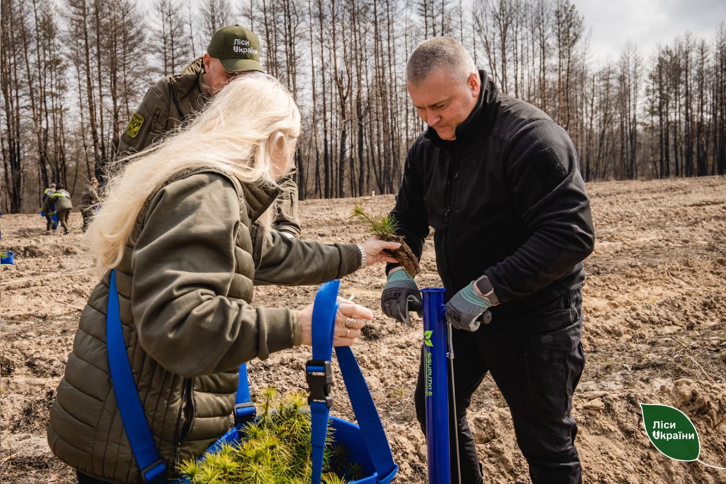 У Новосанжарській громаді відновлюють ліс