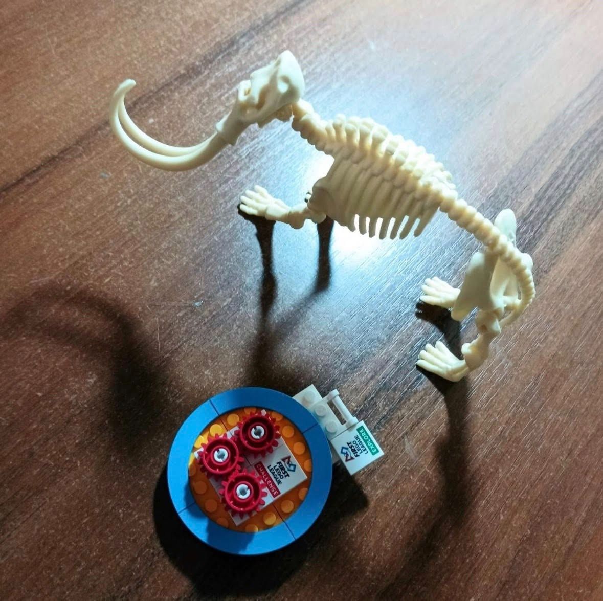 Решетилівські школярі отримали нагороди за участь у фестивалі FIRST LEGO League