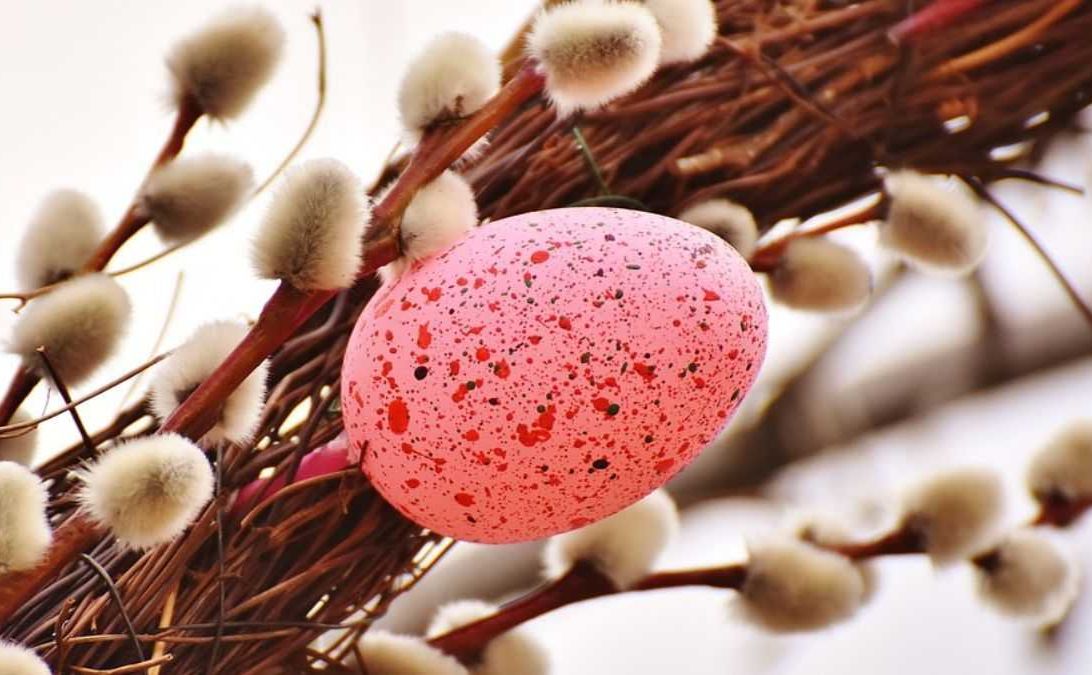 Котики чи баська: як правильно називати букетик на Вербну неділю