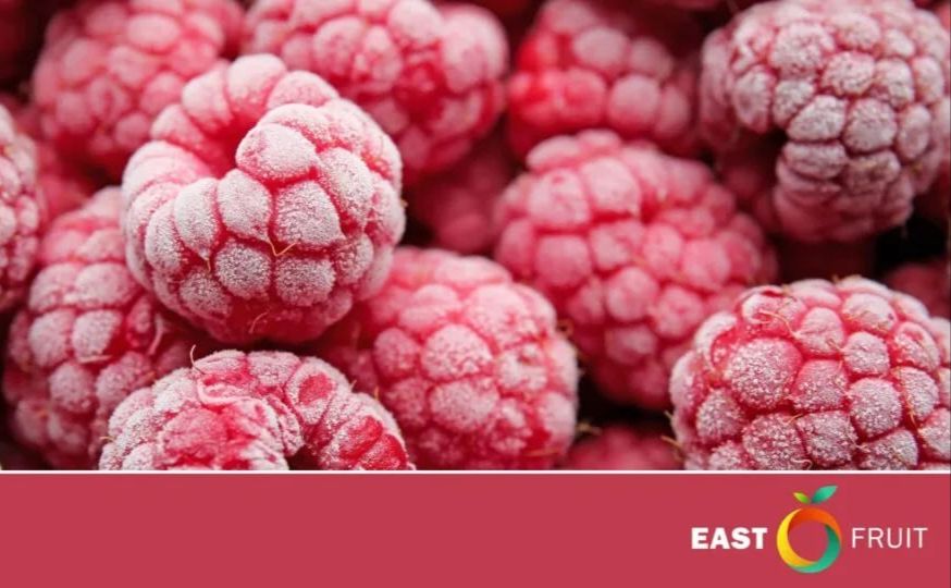 Україна вийшла на перше місце в Європі за експортом замороженої малини