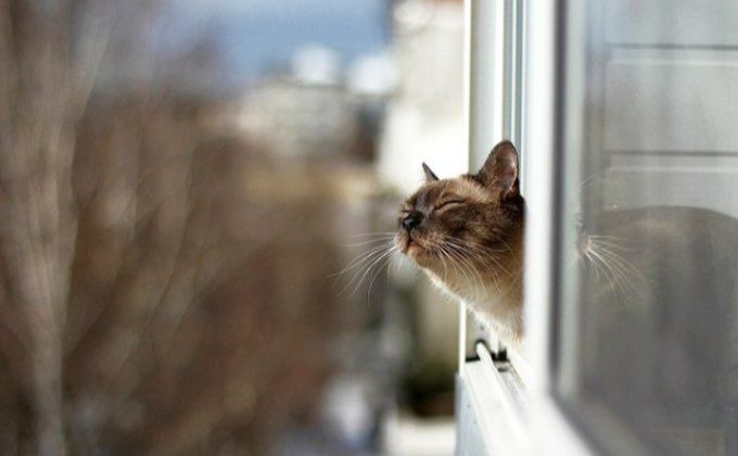 Сьогодні максимальна температура повітря досягатиме +14