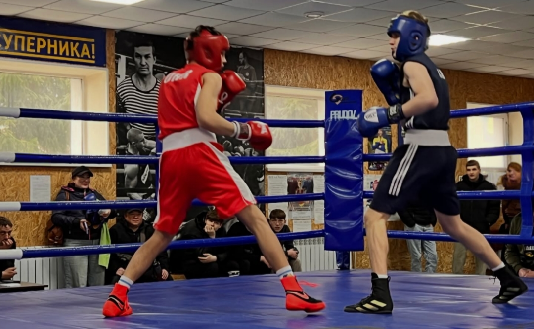 Решетилівські боксери — серед призерів обласної першості у Полтаві