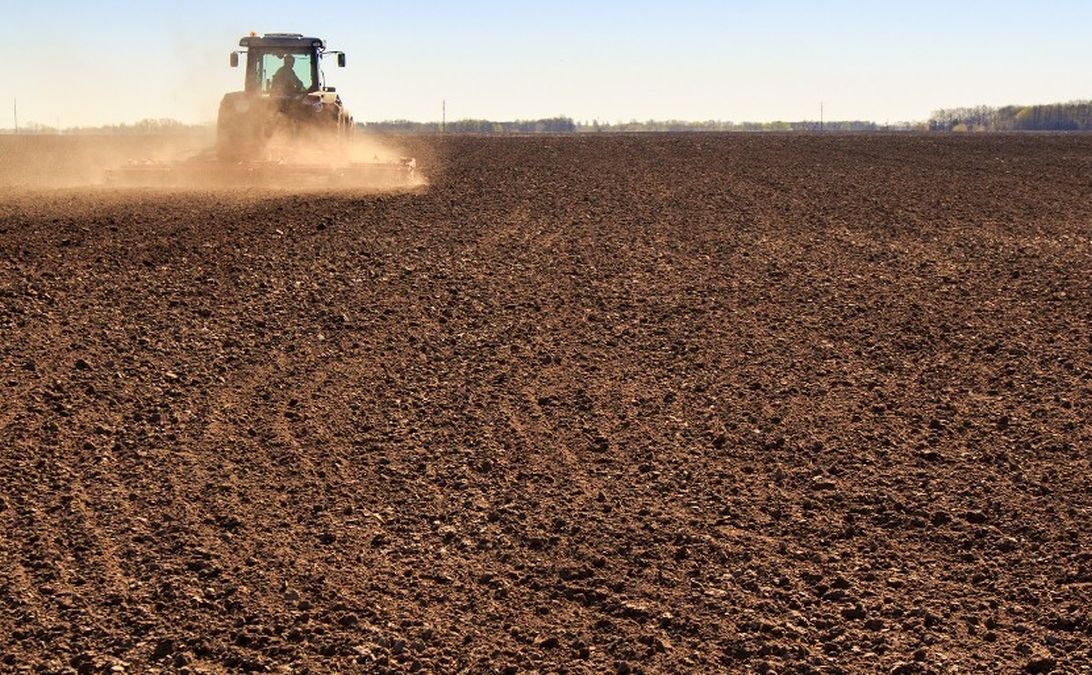 Держава компенсуватиме аграріям до 60% вартості страхування воєнних ризиків