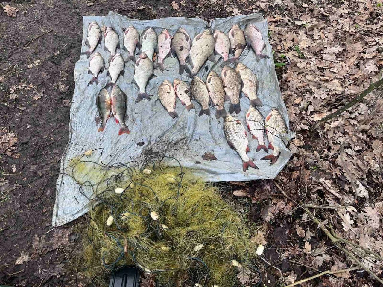 Двоє браконьєрів наловили у заказнику риби на понад 140 тисяч гривень