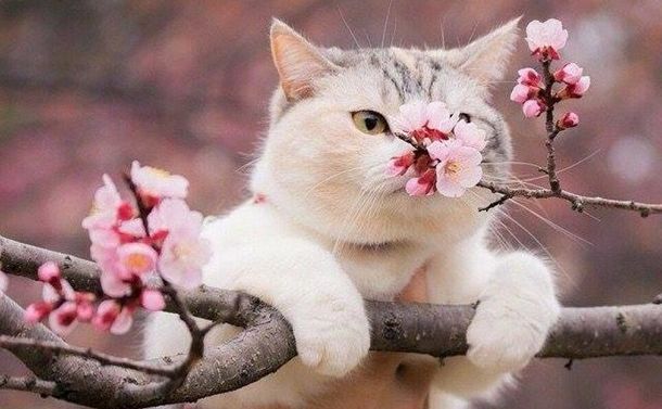 Які свята відзначаємо 19 квітня?