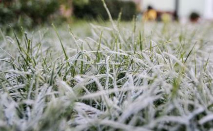 Сьогодні знову очікуються заморозки
